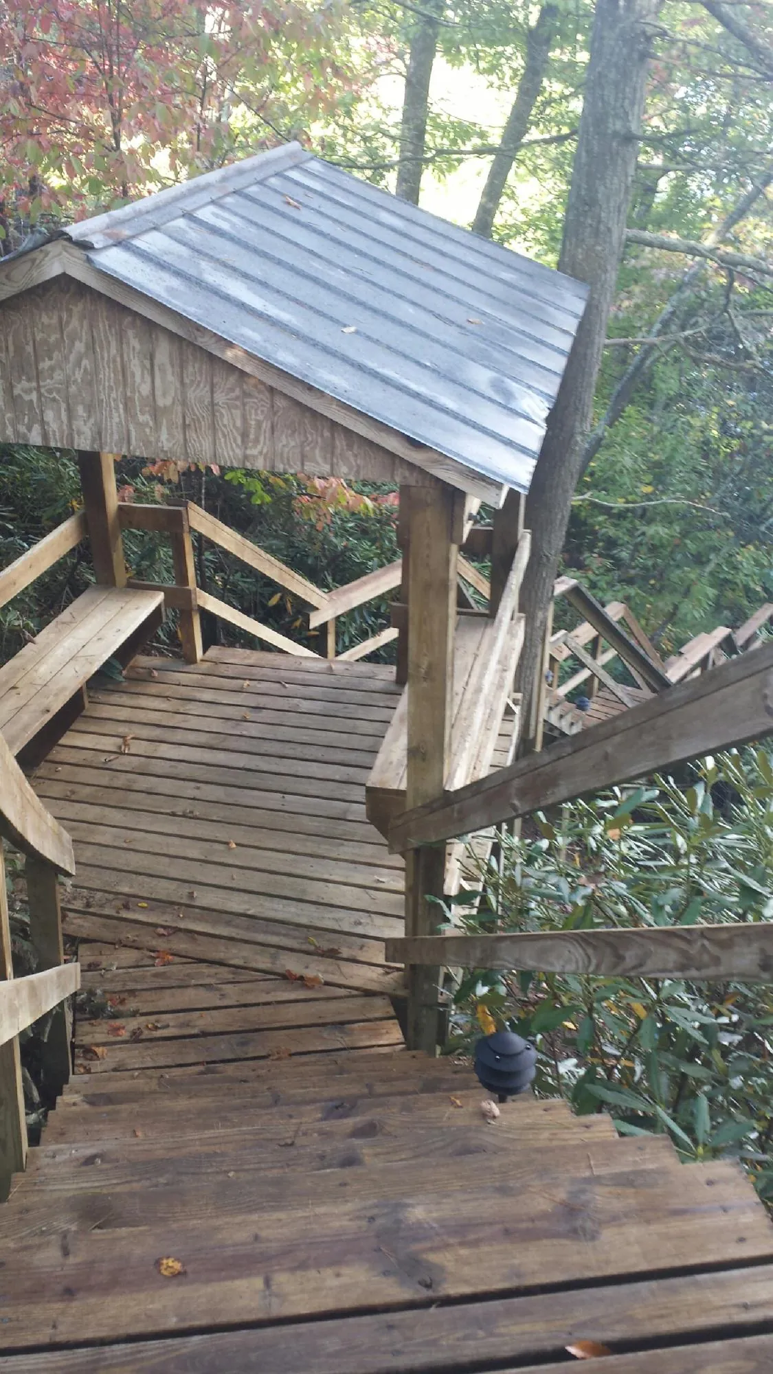 Metal roofed shelter over wooden steps on a wooded walkway — Skylight Repair & Installation work by our crew in Forest