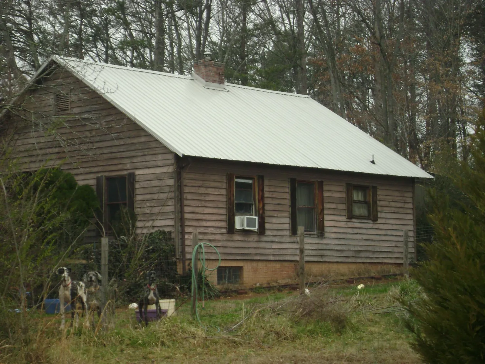 White metal roof on an old wood sided farmhouse in Forest
